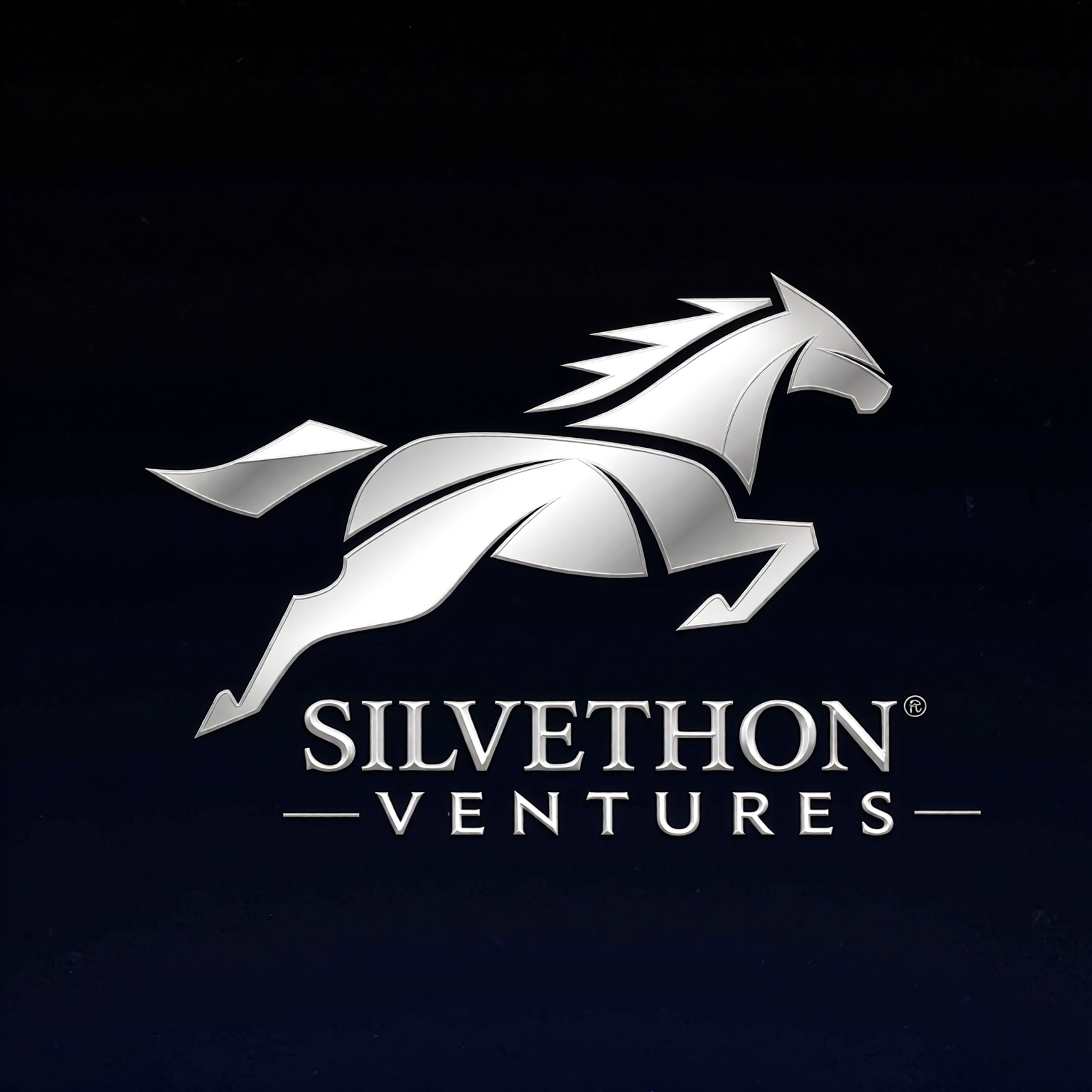 Silvethon Ventures Logo